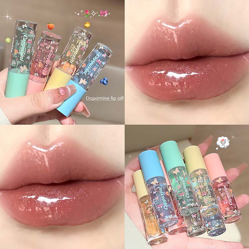 Brillant à lèvres hydratant à  - Lip Gloss Plumping avis et prix